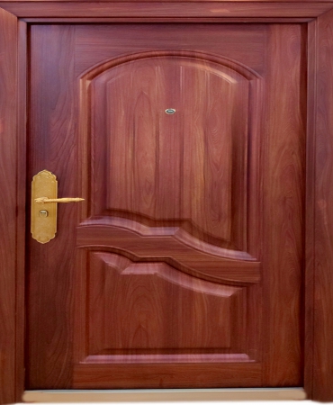 STEEL DOOR-DC 816