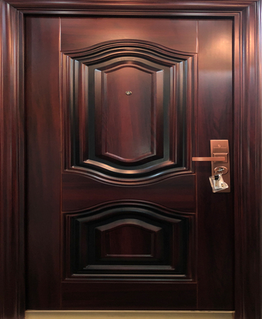 STEEL DOOR - DC 815