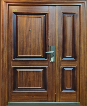 STEEL DOOR - DC 823