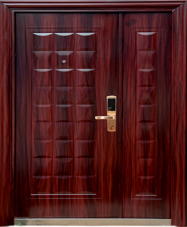STEEL DOOR - DC 829