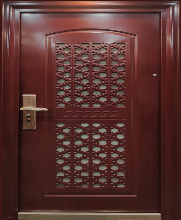 STEEL DOOR - DC 830