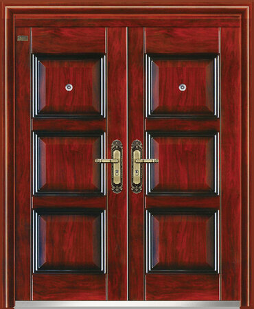 STEEL DOOR - DC 801